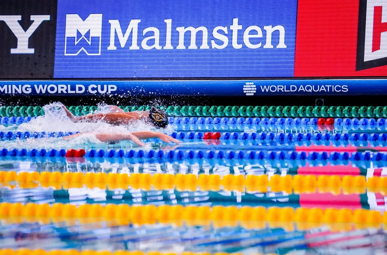 Malmsten Swedish Goggles